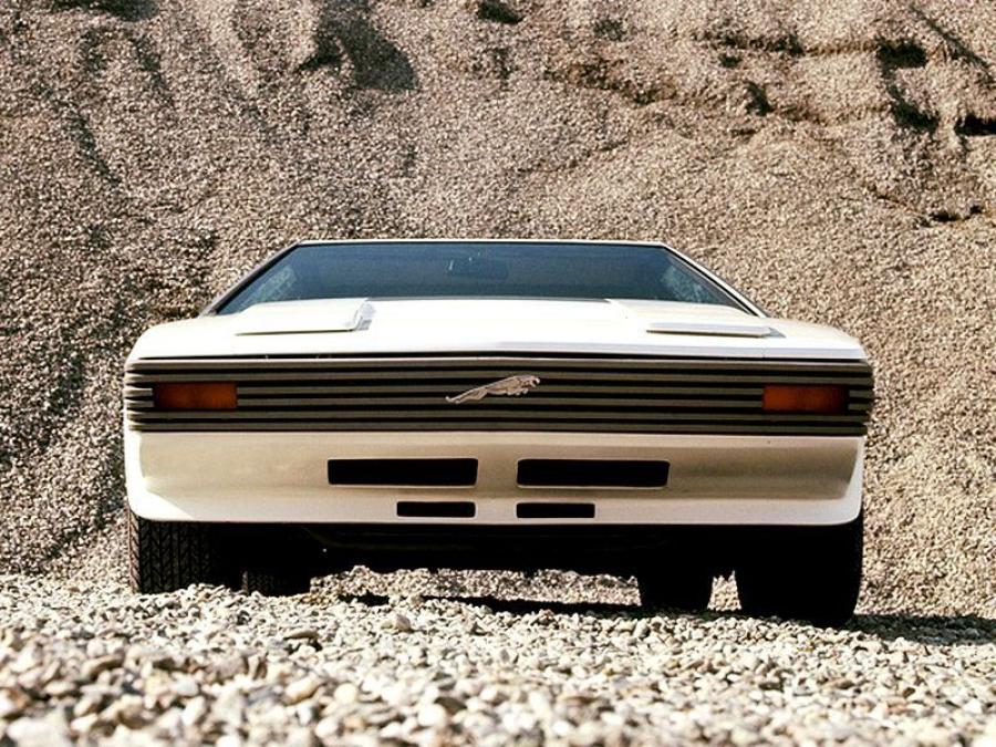  Jaguar Ascot Concept 1977 года  (фото 16 из 16)